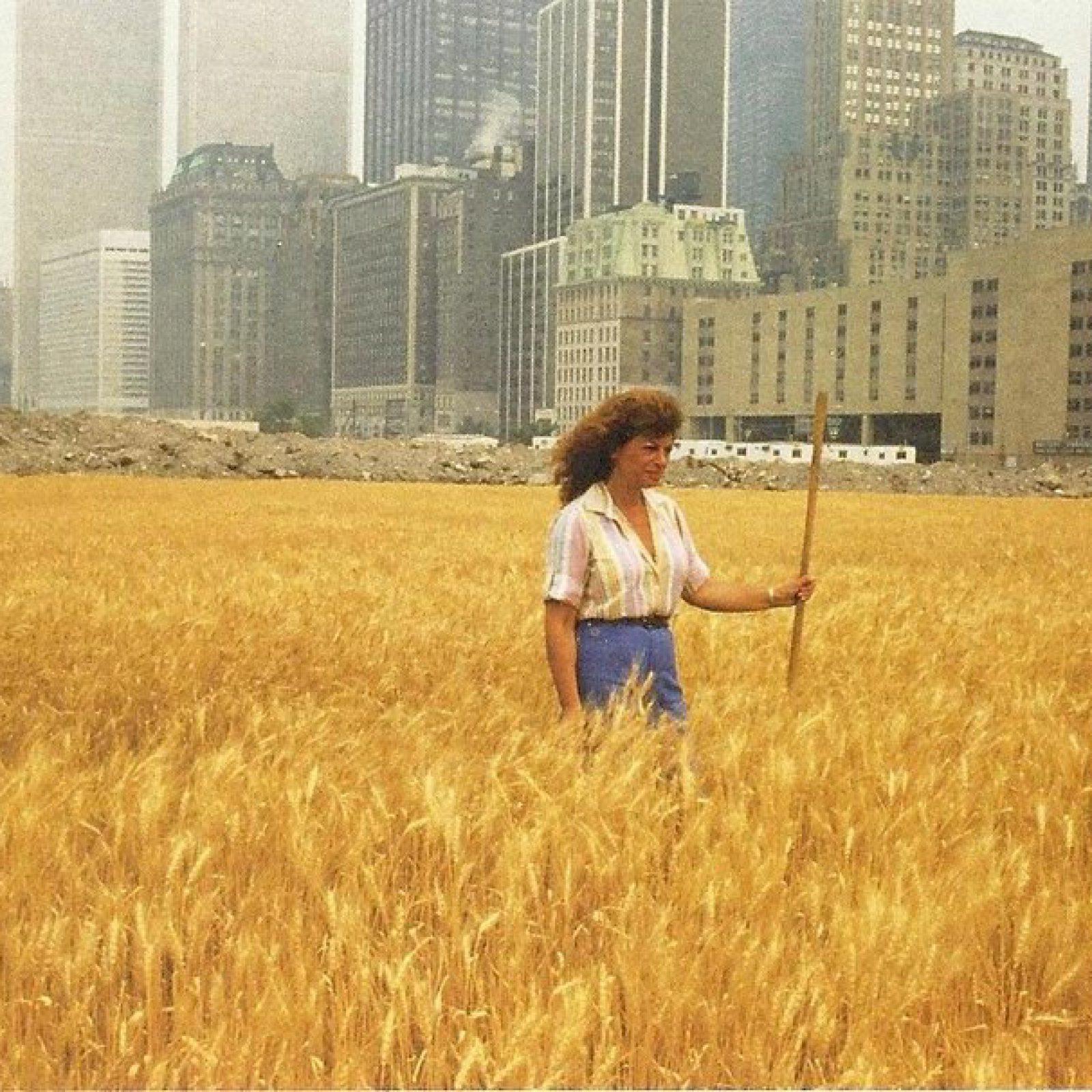 Agnes Denes, Wheatfield – A Confrontation Battery Park Landfill, Downtown Manhattan, Summer, 1982, collection particulière